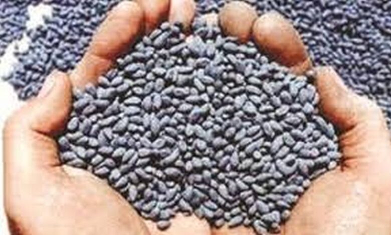 bogus seeds increase farmer confusion 201906257053 हदगाव विधानसभा क्षेत्रांचे आ माधवराव पा.जवळगावकर यांच्या "त्या पञाची" दखल स्थानीय प्रशासन घेणार का..? - NNL