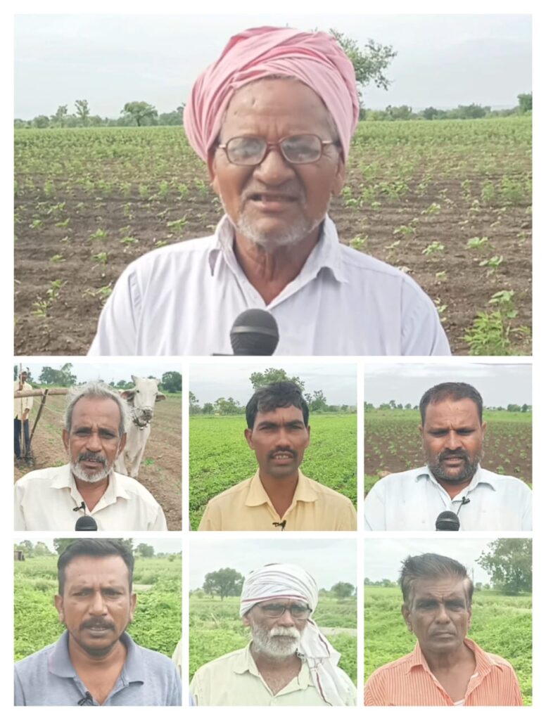 IMG 20240712 WA0042 Greenworm infestation | कापूस सोयाबीनच्या कोवळ्या पिकावर हिरव्या अळीचा प्रादुर्भाव शेतकरी हैराण -NNL