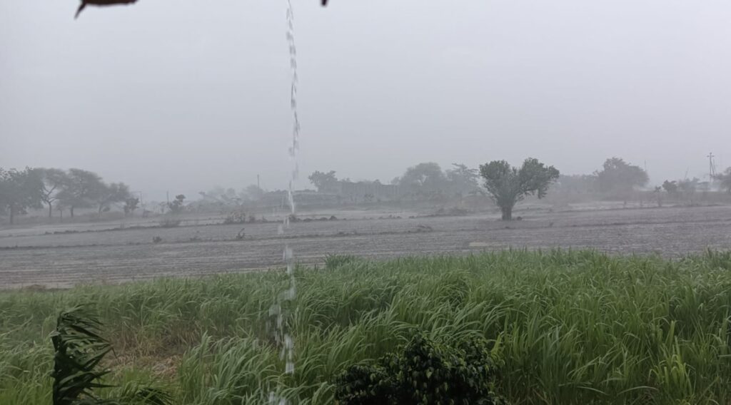 IMG 20240726 163146 Drizzling rain everywhere in Himayatnagar taluka | हिमायतनगर तालुक्यात चौथ्या दिवशी देखील सर्वदूर रिमझिम पाऊस; सुर्य दर्शन नाही; शेती कामे खोळंबली - NNL