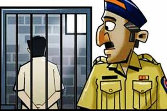 arested Himayatnagar police caught the amplifier thief in just 24 hours | हिमायतनगर पोलिसांनी अवघ्या 24 तासात आवळल्या ऍम्प्लिफायर चोरट्याच्या मुस्क्या - NNL