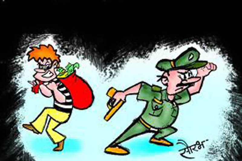 A cable containing copper was stolen from Tata Power House | हिमायतनगर शहरातील बोरगडी रस्त्यावरील टाटा पॉवर हाऊस मधून काॅपर युक्त केबल चोरीला – NNL