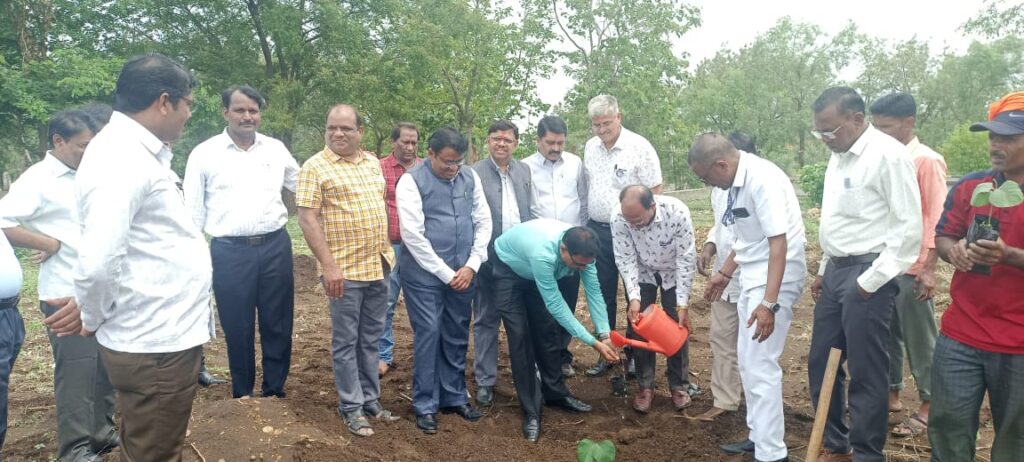 पळस लागवड ‘स्वारातीम’ विद्यापीठामध्ये दोन पानाच्या दुर्मिळ ‘पळस’ वृक्षांचे लागवड - NNL