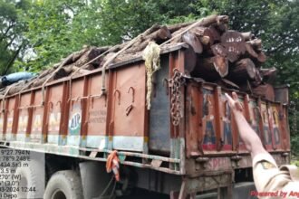 IMG 20240803 WA0056 Four trucks loaded with Khaira wood were seized by the forest department in one night and released the next day |खैराच्या लाकडांनी भरलेली चार ट्रक एकाच रात्रीत वन विभागाने पकडले आणि दुसऱ्या दिवशी सोडून दिले - NNL