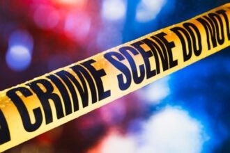 crime 6 Cows Caught : हिमायतनगरला विनापरवाना वाहतूक करतांना गोवंश पकडले. राज्यात गोमातेला राज्य मातेचा दर्जा मिळूनही गोहत्या सुरूच