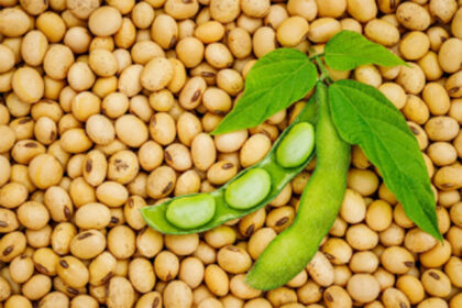 soyabeen soybean purchase registration : सोयाबीन खरेदी नोंदणीसाठी ६ जानेवारीपर्यंत मुदतवाढ - पणन मंत्री जयकुमार रावल -NNL
