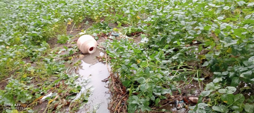 IMG 20240903 WA0106 Osmannagar area ; उस्माननगर परिसरात पावसामुळे शेतात पाणीच पाणी , पिकांचे नुकसान - NNL