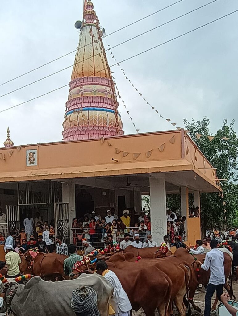 IMG 20240905 WA0037 In Vishnpuri bailpola festival celebrated ; विष्णपुरी येथे बैलपोळा सण उत्साहात साजरा.. - NNL