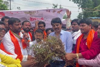 IMG 20240918 WA0039 The march hit Hadgaon tehsil office : स्वराज्य संघटनेचा बैलगाडी आक्रोश मोर्चा हदगाव तहसील कार्यालयावर धडकला -NNL