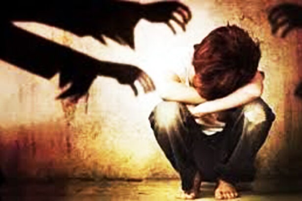 bal laingik child sexual abuse : बाल लैंगिक शोषणावरील मूलभूत समुपदेशन व परिणाम या विषयावरील प्रशिक्षण संपन्न -NNL