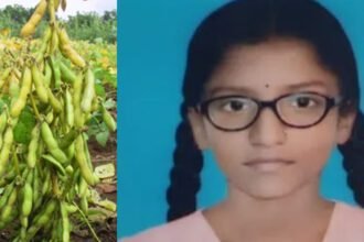 oXmodJb eating soybean pods : सोयाबीन शेंगा खाल्ल्याने एकाच परिवारातील आठ सदस्यांना विषबाधा; एका मुलीचा मृत्यू -NNL