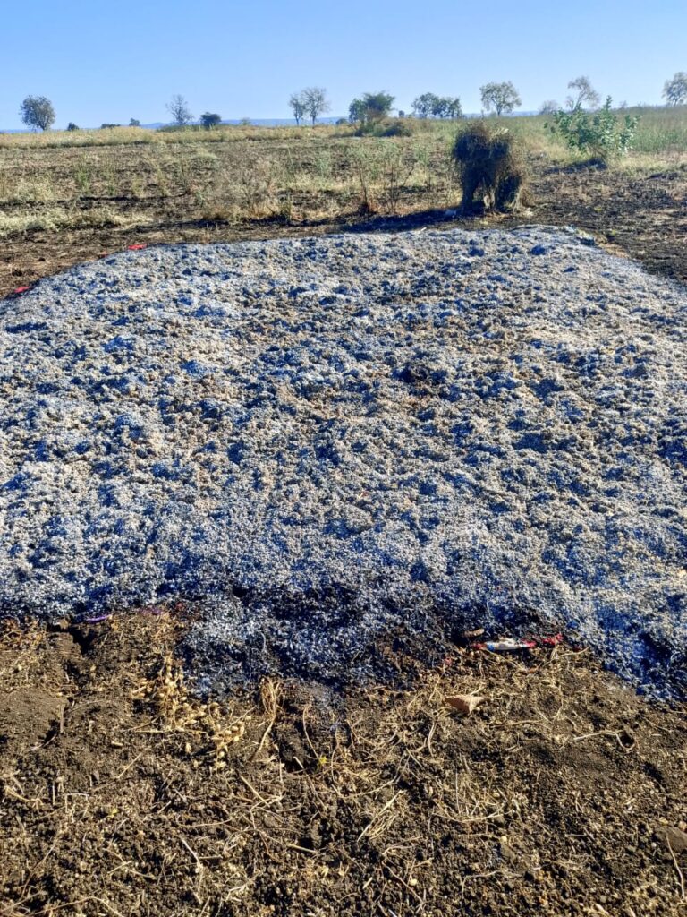 An unidentified person set fire : आणखी एका शेतातील हरभऱ्याच्या ढिगाऱ्याला अज्ञाताने लावली आग