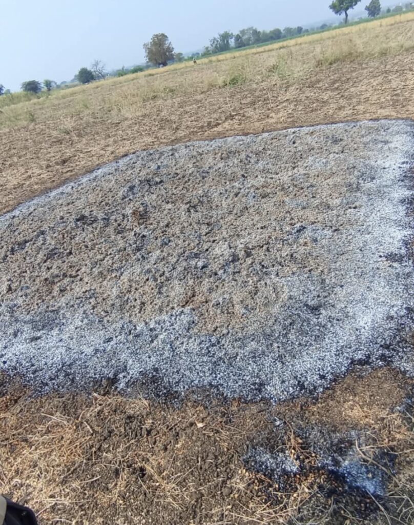 IMG 20250212 115205 Unidentified person sets fire to Harbhra ganji in Dolhari : डोल्हारी येथे हरभऱ्याच्या गांजिला अज्ञाताने लावली आग; शेतकऱ्याचे दीड लाखाचे नुकसान