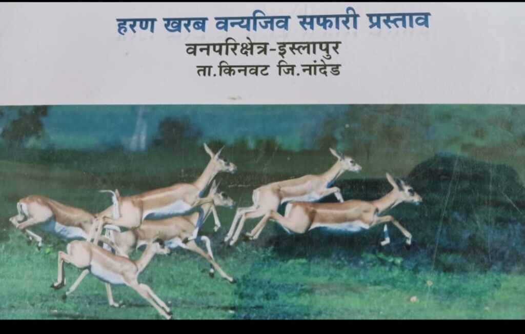 IMG 20250302 WA0046 Harin Kharab Wildlife Safari Park : इस्लापूर येथील कोट्यावधी रुपयांचा हरीण खरब वन्यजीव सफारी पार्क अर्धवट अवस्थेत