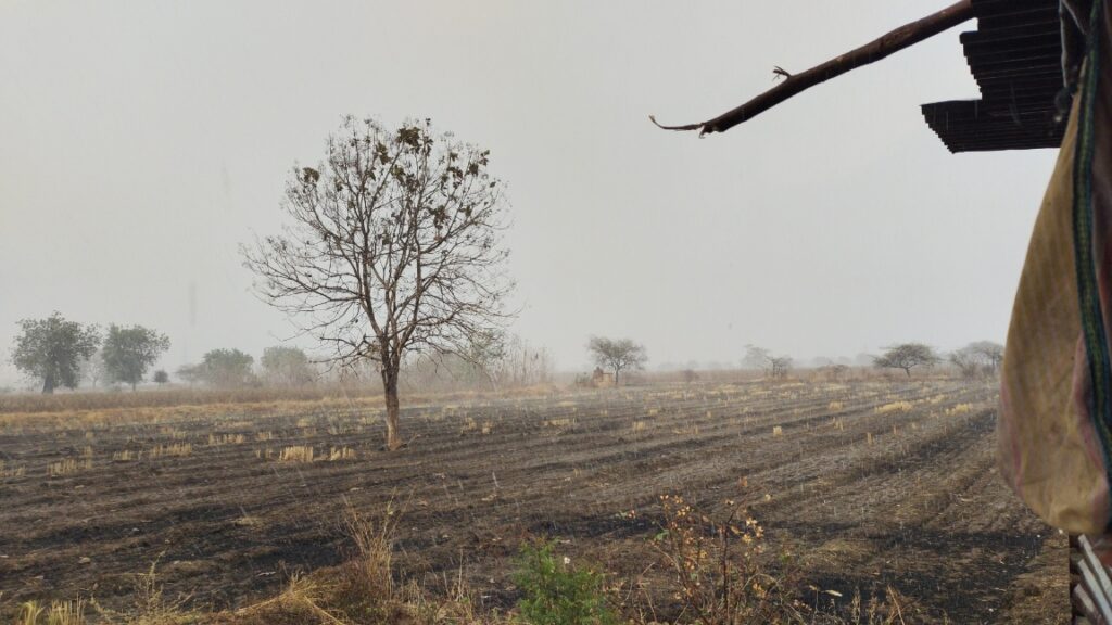 IMG 20250408 185831 Heavy Rain Strong Winds Lightning ; हिमायतनगर शहर व परिसरात वादळी वारे, विजांचा कडकडाट झाला जोरदार अवकाळी पाऊस