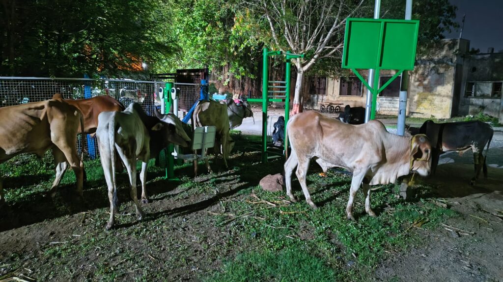 IMG 20250531 WA0093 Police take strong action : बकरी ईदच्या पार्श्वभूमीवर विना अन्नपाणी क्रूरतेन बांधून ठेवणाऱ्या व्यक्तीवर पोलिसांची धडाकेबाज कारवाई