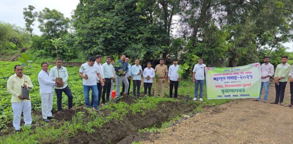 IMG 20250803 WA0023 Nanded ; महसूल सप्ताह निमित्त तळणी तालुका नांदेड येथे भव्य वृक्ष लागवड कार्यक्रम संपन्न. ग्रामस्थांचा उत्स्फूर्त 