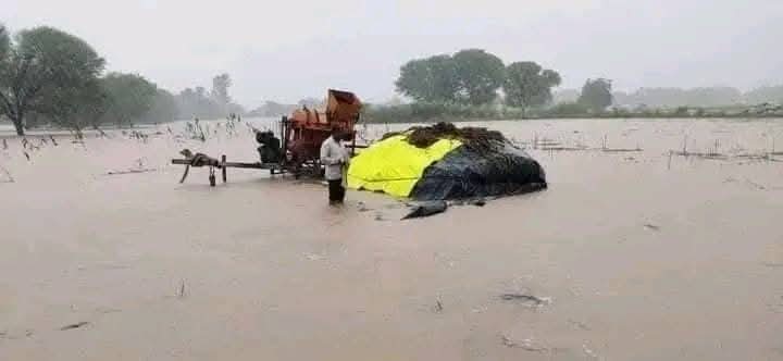 Farmers’ demand : शेतकऱ्यांची मागणी: खासदार-आमदारांचा पगार आणि मंदिरातील देणगी शेतकऱ्यांसाठी वापरा