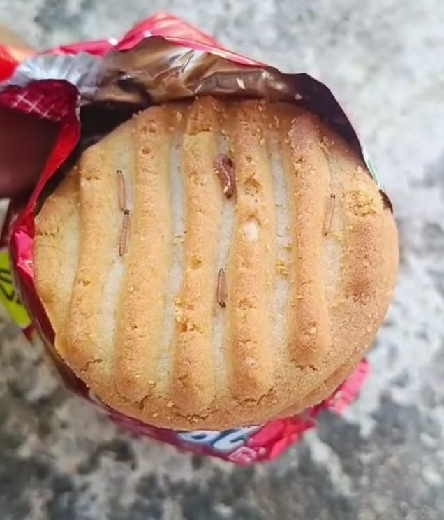 Twenty-Twenty : ग्राहकांच्या आरोग्याशी खेळ! बिस्किटांतून जिवंत अळ्या – परिसरात खळबळ