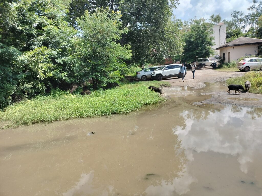 Citizens’ worries : हदगाव तहसील कार्यालयात नागरिकांची परवड – साप, विंचू आणि डुकरांचा त्रास !