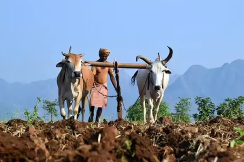 Maharashtra Gramin Bank : महाराष्ट्र ग्रामीण बँकेत शेतकऱ्यांच्या थकीत कर्जासाठी शेतकरी नवसंजीवनी व शेतकरी समाधान योजना जाहीर