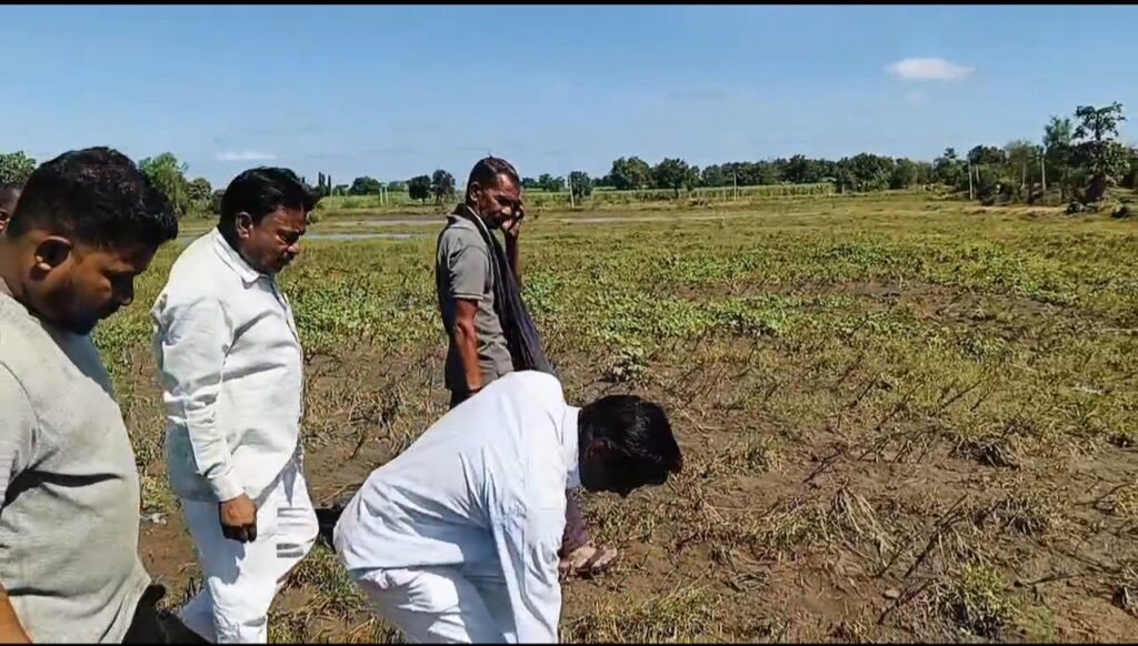 IMG 20251003 173856 Farmers Leader : शेतकरी नेते प्रल्हाद पाटील थेट बांधावर - तुटपुंजी मदत मान्य नाही थेट मुख्यमंत्र्यांना इशारा