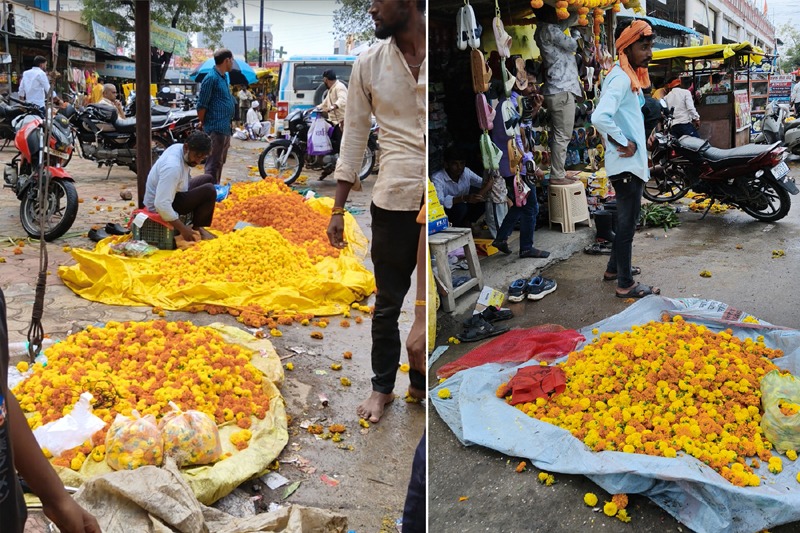 Disappointment even in Diwali : दिवाळीतही निराशा — झेंडू फुलांना कवडीमोल दर; शेतकऱ्यांच्या चेहऱ्यावर पुन्हा चिंता