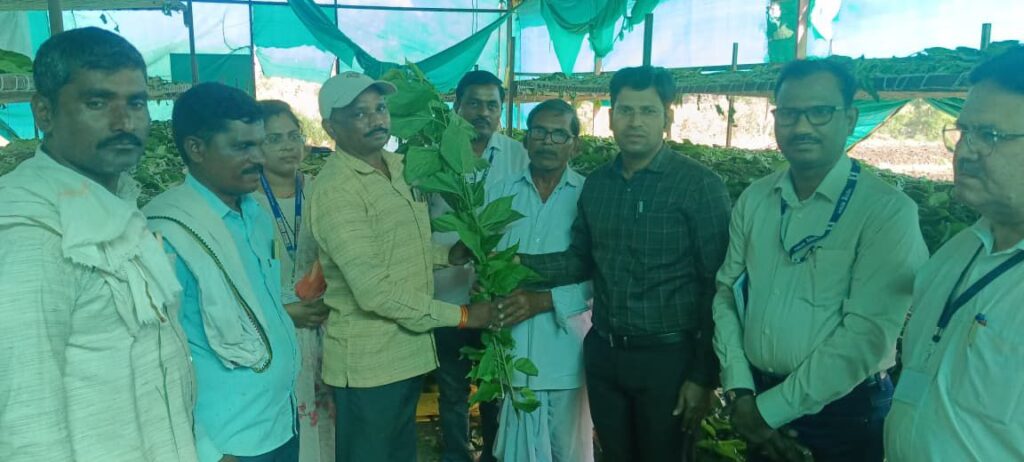 District Collector Rahul Kardile : रेशीम शेतीतून ग्रामीण भागात स्थिर उत्पन्न व रोजगार – जिल्हाधिकारी राहुल कर्डिले