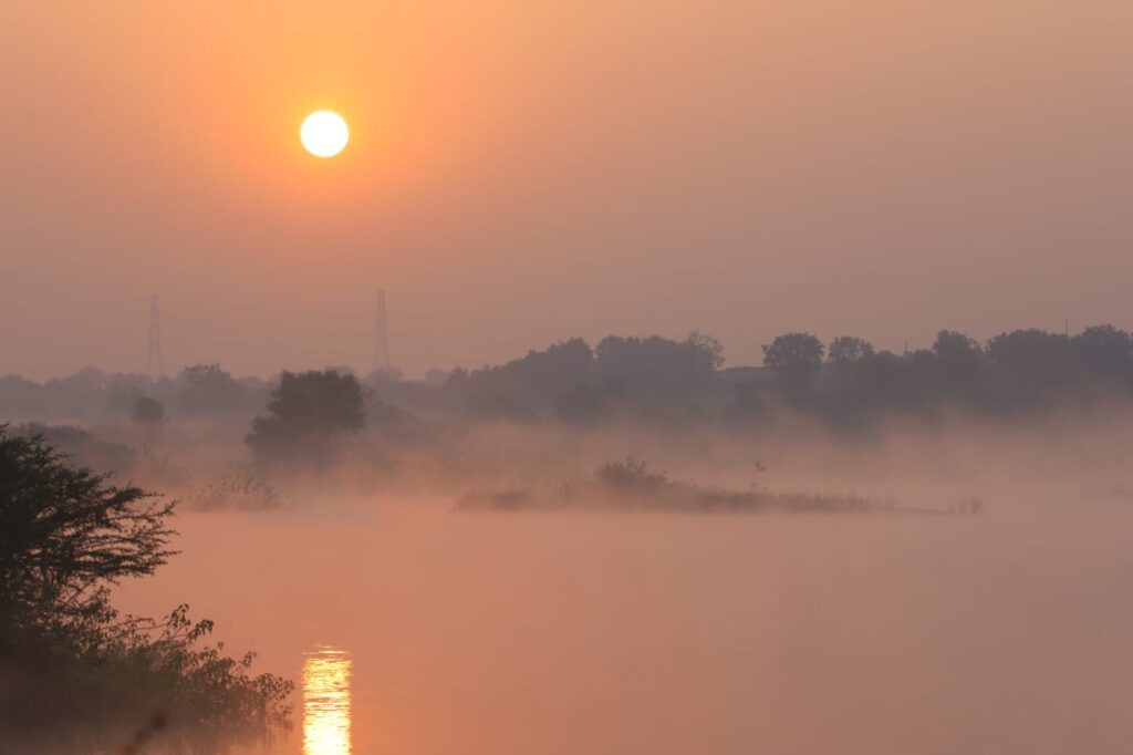 Sunrise over : धुक्याच्या कुशीत उगवलेला गोदावरीवरील सूर्योदय