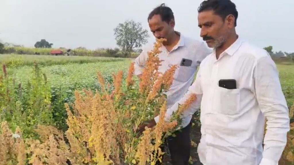 IMG 20260121 143802 Farmer Success Story : डोंगरगावचा शेतकरी ठरला ‘ग्रीन डॉक्टर’; आयुर्वेदिक वनस्पतीतून १७ लाखांचा नफा