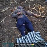 IMG 20260223 WA0059 Women Farmer Died : हिमायतनगर तालुक्यातील मौजे पार्डी येथे वीज पडून महिला शेतकऱ्यांचा दुर्दैवी मृत्यू
