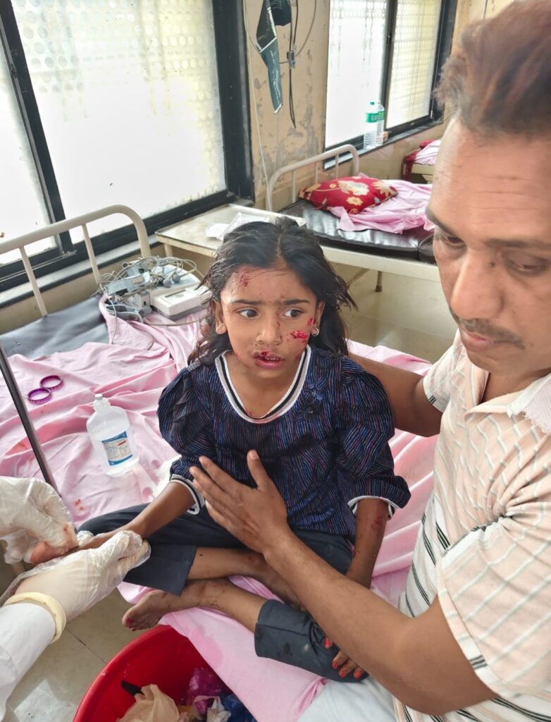 Safety issue : भटक्या कुत्र्यांचा वाढता धोका; हिमायतनगरात सुरक्षिततेचा प्रश्न गंभीर