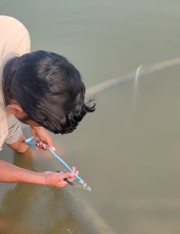 Cable thieves : पोलिसांच्या नाकावर टिचून केबल चोरट्यांचा धुमाकूळ; एकाच रात्री २० शेतकऱ्यांना फटका