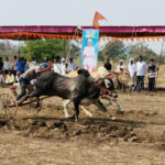 WhatsApp Image 2026 02 27 at 17.42.59 Shankar Pat competition : हिमायतनगरचा श्री परमेश्वर यात्रेतील पट दणाणला; शंकर पट स्पर्धेने मोडले उत्साहाचे सर्व विक्रम !