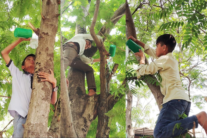 birds children set up bird feeders : जवळ्यात चिमुकल्यांनी झाडांवरच उभारली पक्ष्यांसाठी पाणपोई