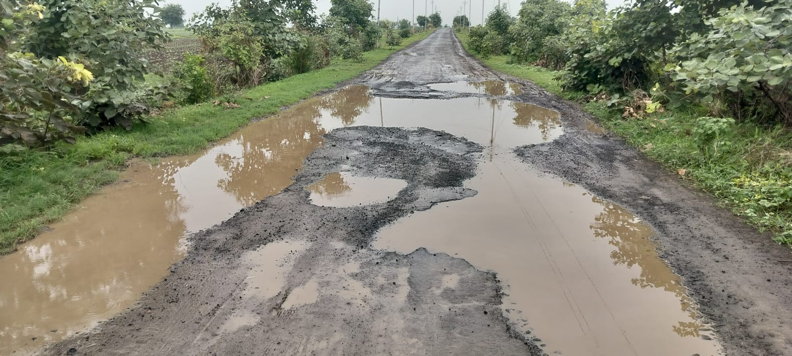 road lost in potholes! खड्ड्यांत हरवला खैरगाव–मंगरूळ–वारंग टाकळी रस्ता! 1 IMG 20260722 WA0040 road lost in potholes! खड्ड्यांत हरवला खैरगाव–मंगरूळ–वारंग टाकळी रस्ता!