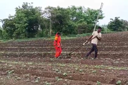 IMG 20260719 130055 बैल नसल्याने पती-पत्नीने स्वतःच ओढला कोळप; कंधार तालुक्यातील बामणी येथील शेतकऱ्याची व्यथा