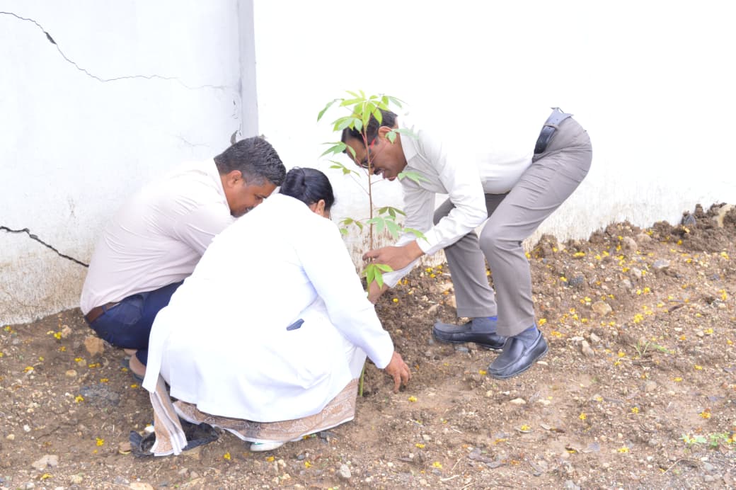trre 2 Trees Planting : शासकीय वैद्यकीय महाविद्यालयात ३०० वृक्षांची लागवड