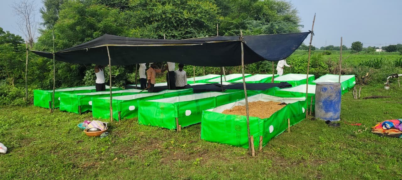 Natural farming : नैसर्गिक शेतीतून शाश्वत उत्पन्नाचा मार्ग; अन्नपूर्णा महिला शेतकरी गटाच्या उपक्रमांचे जिल्हाधिकाऱ्यांकडून कौतुक 2 WhatsApp Image 2026 08 07 at 5.49.32 PM Natural farming : नैसर्गिक शेतीतून शाश्वत उत्पन्नाचा मार्ग; अन्नपूर्णा महिला शेतकरी गटाच्या उपक्रमांचे जिल्हाधिकाऱ्यांकडून कौतुक
