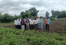 District Collector Rahul Kardile : पीक नोंदणीसाठी सहायकांना सहकार्य करा – जिल्हाधिकारी राहुल कर्डिले
