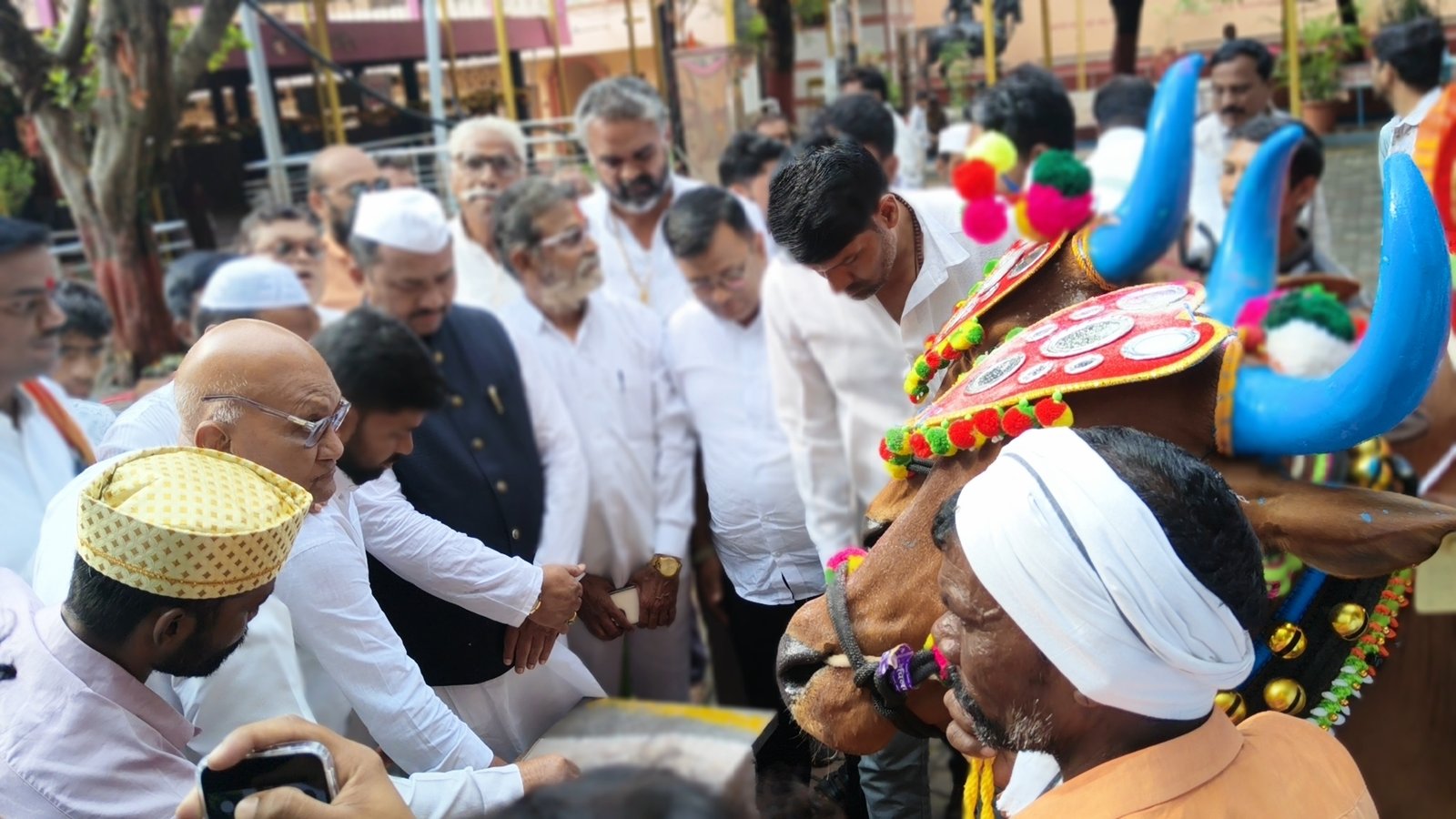 अल्प पावसाचे दुःख बाजूला सारत हिमायतनगरात सर्जा-राजाचा थाटात पोळा! 2 IMG20260910155730 01 अल्प पावसाचे दुःख बाजूला सारत हिमायतनगरात सर्जा-राजाचा थाटात पोळा!