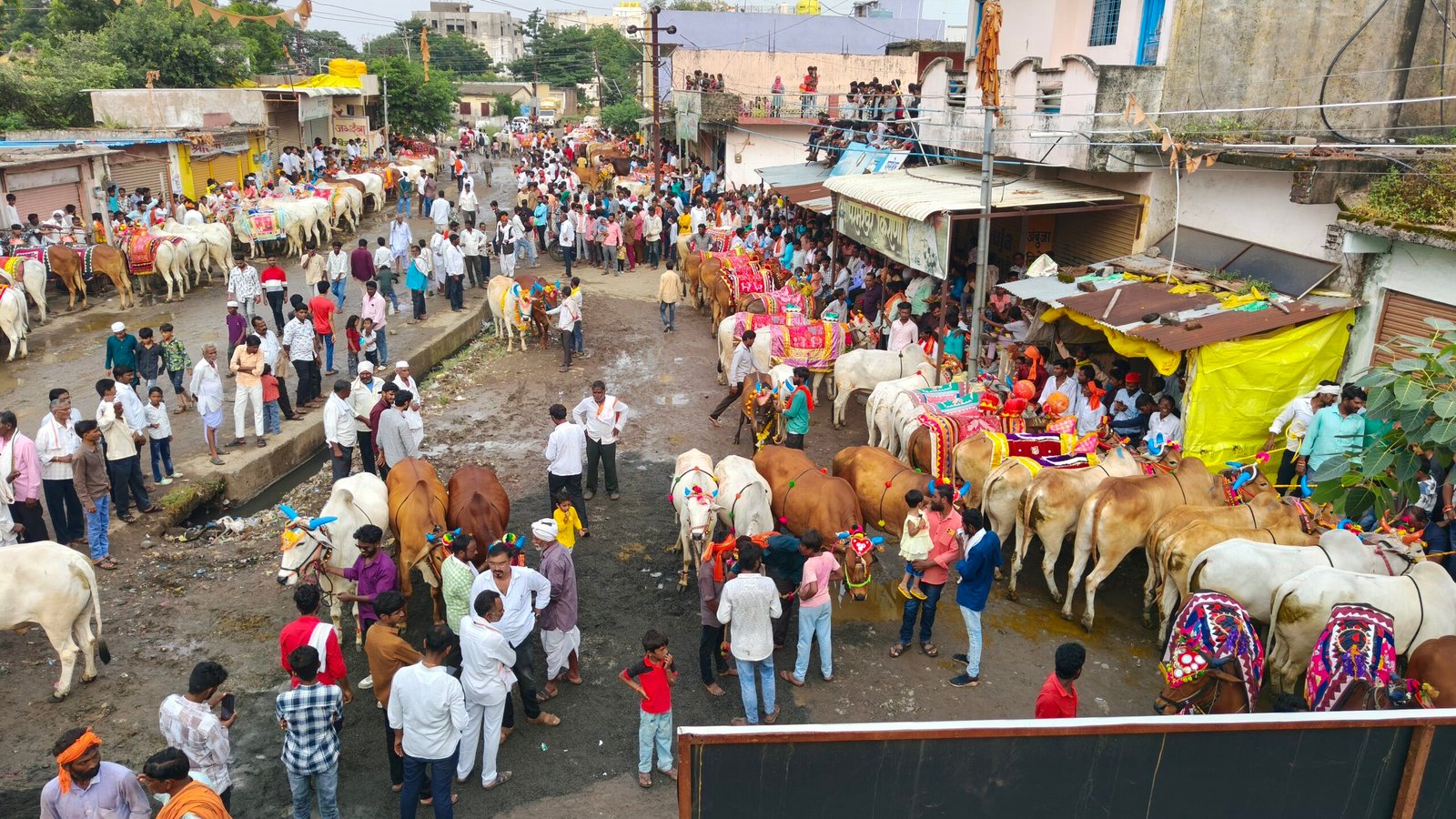 अल्प पावसाचे दुःख बाजूला सारत हिमायतनगरात सर्जा-राजाचा थाटात पोळा! 3 IMG20260910163456 scaled अल्प पावसाचे दुःख बाजूला सारत हिमायतनगरात सर्जा-राजाचा थाटात पोळा!
