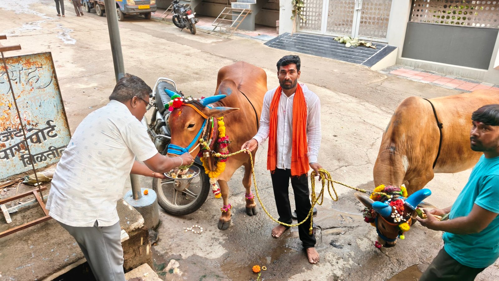 अल्प पावसाचे दुःख बाजूला सारत हिमायतनगरात सर्जा-राजाचा थाटात पोळा! 4 IMG20260910175452 scaled अल्प पावसाचे दुःख बाजूला सारत हिमायतनगरात सर्जा-राजाचा थाटात पोळा!